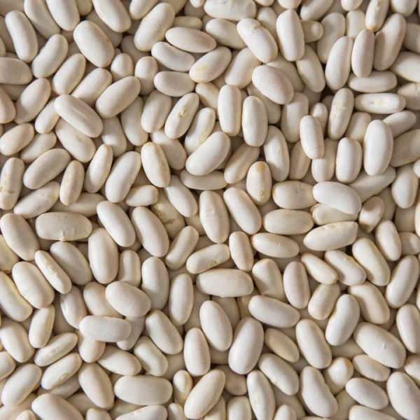 Organic White Kidney Beans (Cannellini)